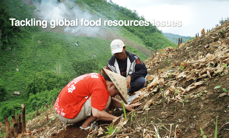Tackling global food resources issues